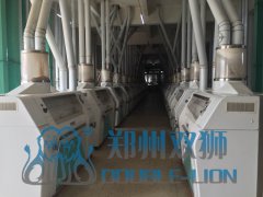 日产1000吨面粉机加工设备