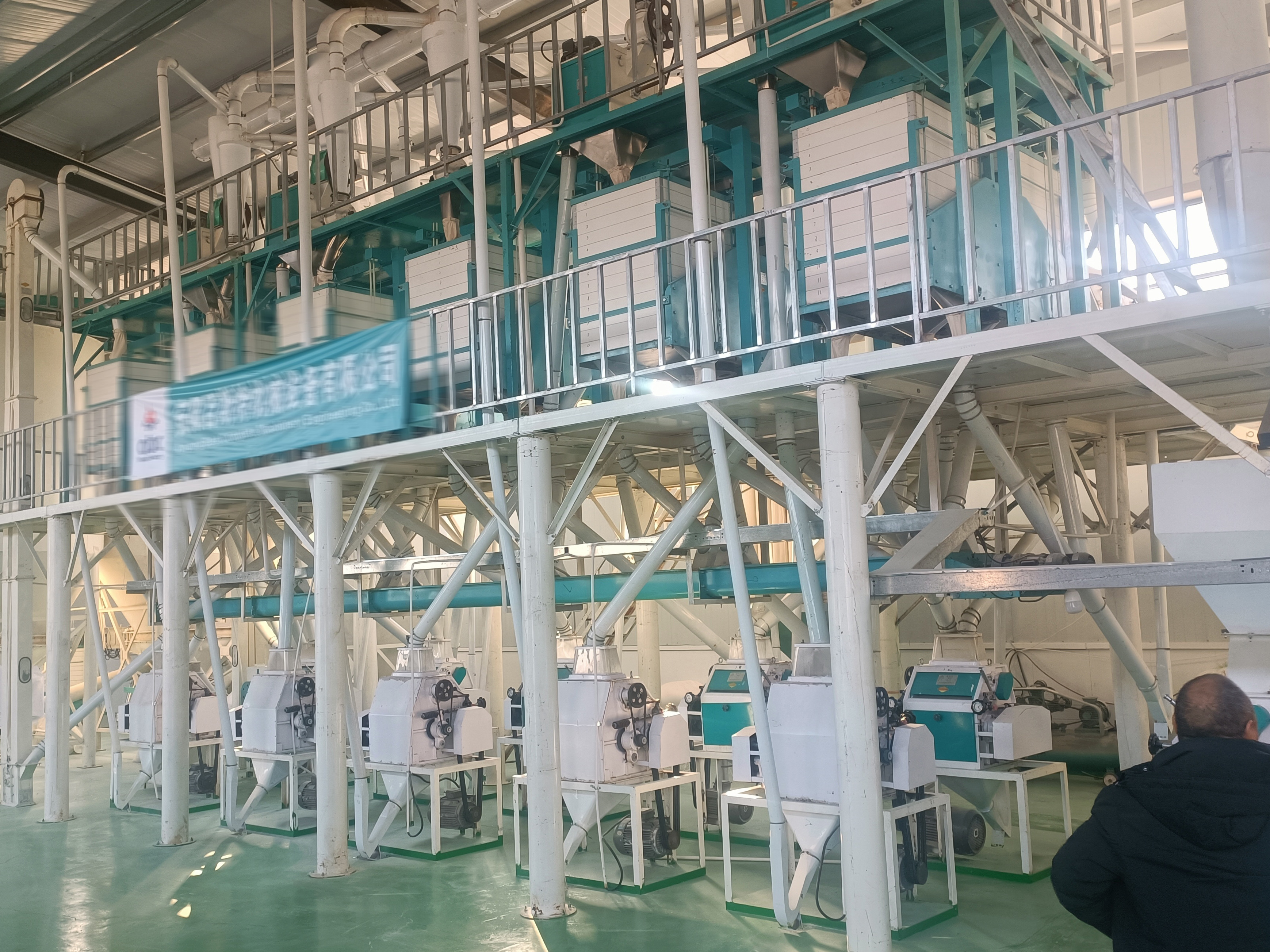 日加工50吨小麦面粉成套机