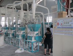 日加工20吨玉米制糁产线