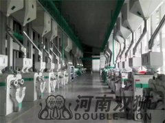 100-200吨成套碾米设备